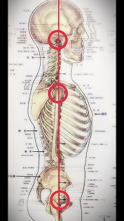 姿勢のポイント.jpg